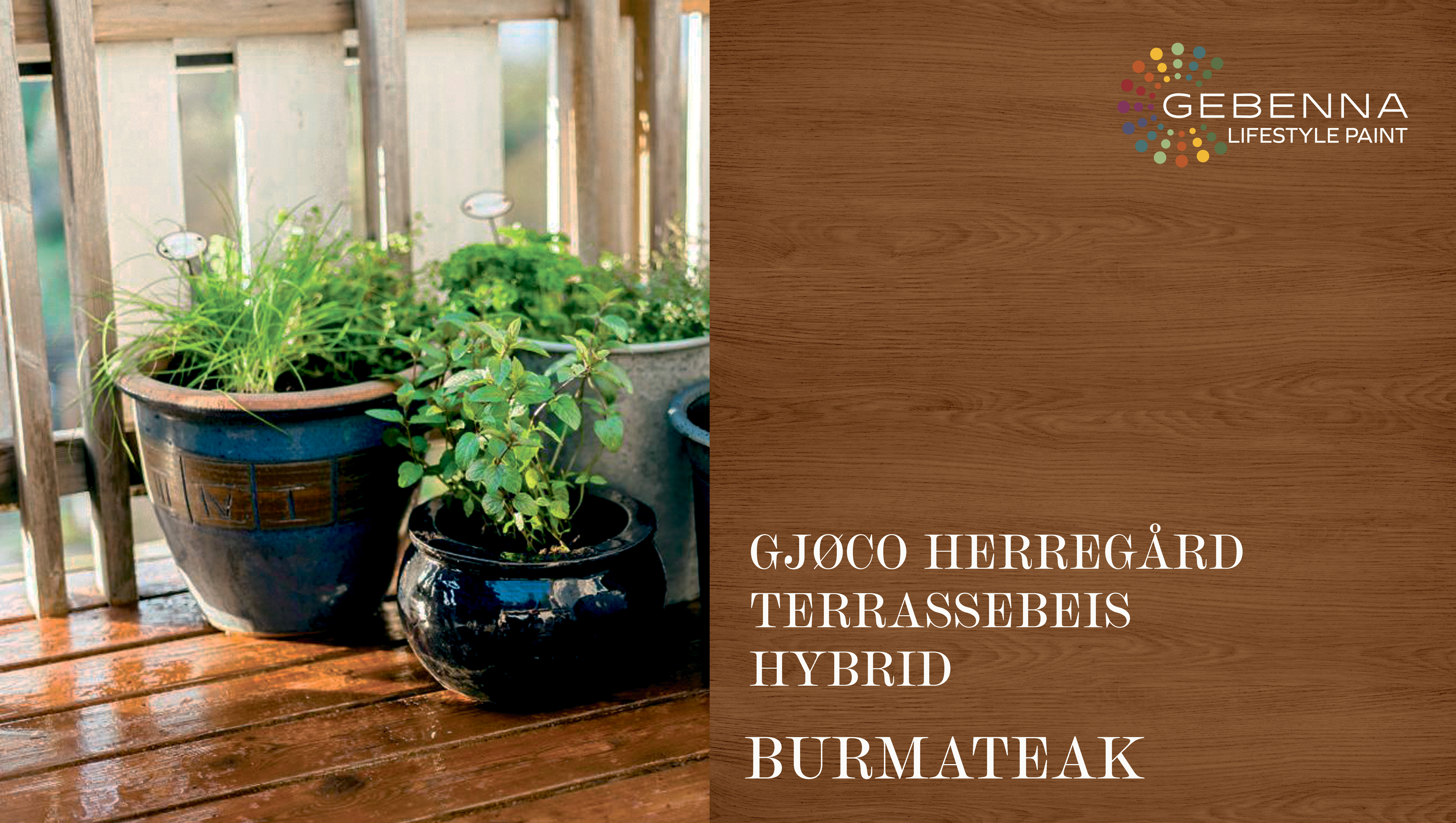 farvekort HYBRID BURMATEAK.jpg